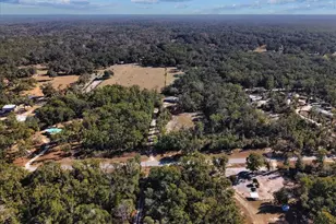 347 NE 544th St, Old Town, FL 32680 - Photo 41