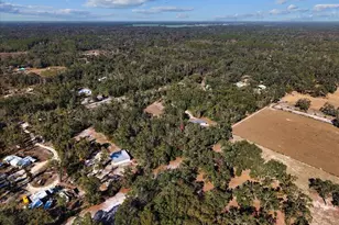 347 NE 544th St, Old Town, FL 32680 - Photo 39