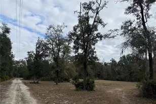 347 NE 544th St, Old Town, FL 32680 - Photo 31