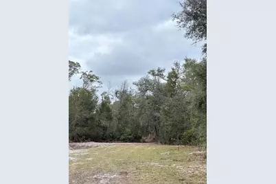 347 NE 544th Street, Old Town, FL 32680 - Photo 33