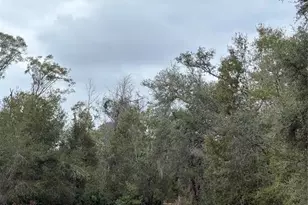 347 NE 544th St, Old Town, FL 32680 - Photo 33