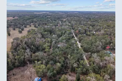 1254 NE 143rd Avenue, Old Town, FL 32680 - Photo 7