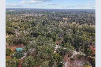 1254 NE 143rd Avenue, Old Town, FL 32680 - Photo 19