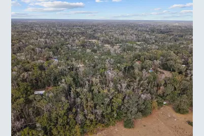 1254 NE 143rd Avenue, Old Town, FL 32680 - Photo 13