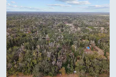 1254 NE 143rd Avenue, Old Town, FL 32680 - Photo 15