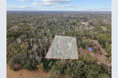 1254 NE 143rd Avenue, Old Town, FL 32680 - Photo 5