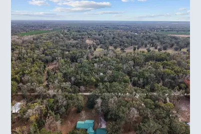 1254 NE 143rd Avenue, Old Town, FL 32680 - Photo 17