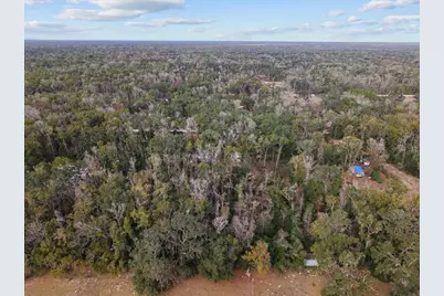 1254 NE 143rd Avenue, Old Town, FL 32680 - Photo 11