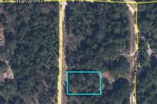 00 Lehigh Dr, Keystone Heights, FL 32656 - Photo 1