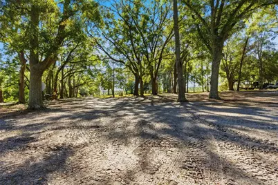 4506 NW 10th Street, Bell, FL 32619 - Photo 49