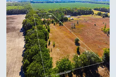 4506 NW 10th Street, Bell, FL 32619 - Photo 5