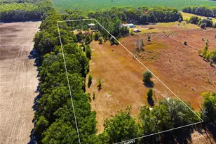 4506 NW 10th St, Bell, FL 32619 - Photo 5