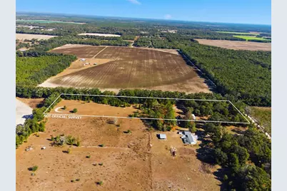 4506 NW 10th Street, Bell, FL 32619 - Photo 3