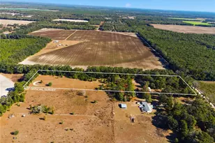 4506 NW 10th St, Bell, FL 32619 - Photo 3