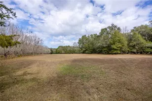 20710 NW County Rd 2054, Alachua, FL 32615 - Photo 29