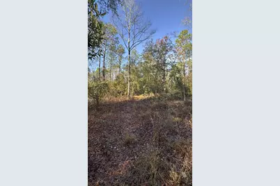 103rd Drive, O'Brien, FL 32071 - Photo 7