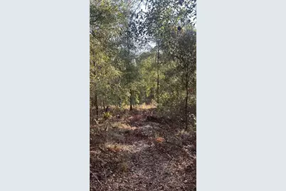 103rd Drive, O'Brien, FL 32071 - Photo 9