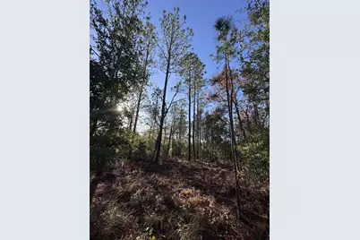 103rd Drive, O'Brien, FL 32071 - Photo 5