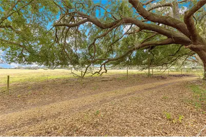 17187 SE 116th Court Road, Summerfield, FL 34491 - Photo 45