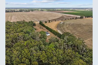 4754 SW 10th Street, Bell, FL 32619 - Photo 15