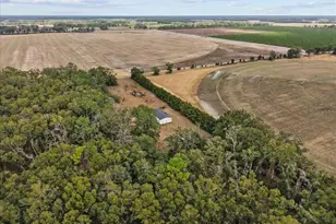 4754 SW 10th St, Bell, FL 32619 - Photo 15