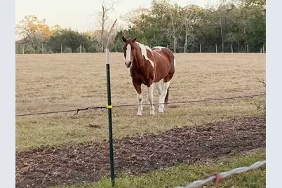 23016 NW 102nd Avenue, Alachua, FL 32615 - Photo 19