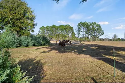 23016 NW 102nd Avenue, Alachua, FL 32615 - Photo 59