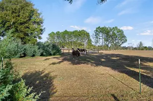 23016 NW 102nd Ave, Alachua, FL 32615 - Photo 59