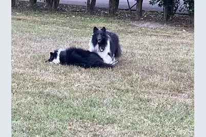 23016 NW 102nd Avenue, Alachua, FL 32615 - Photo 21