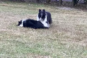 23016 NW 102nd Ave, Alachua, FL 32615 - Photo 21