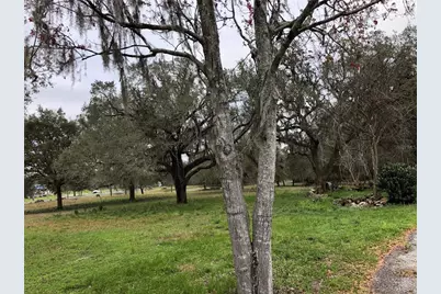 24206 Doc Karelas Drive, Newberry, FL 32669 - Photo 19