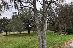 24206 Doc Karelas Dr, Newberry, FL 32669 - Photo 19