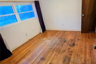 17427 SE County Road 234, Micanopy, FL 32667 - Photo 9