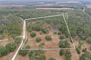 306 NE Castagna Ln, Mayo, FL 32066 - Photo 43