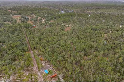 306 NE Castagna Lane, Mayo, FL 32066 - Photo 47