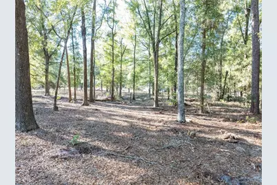 1809 Rosemary Circle, Bell, FL 32619 - Photo 29