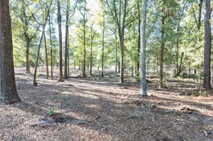 1809 Rosemary Cir, Bell, FL 32619 - Photo 29