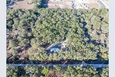 1809 Rosemary Circle, Bell, FL 32619 - Photo 39