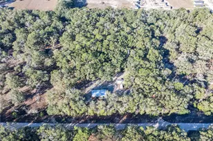 1809 Rosemary Cir, Bell, FL 32619 - Photo 39