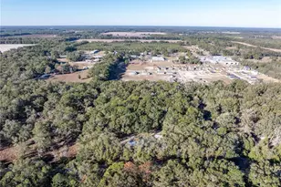 1809 Rosemary Cir, Bell, FL 32619 - Photo 41