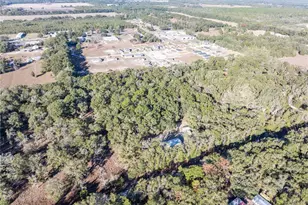 1809 Rosemary Cir, Bell, FL 32619 - Photo 43