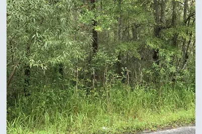 20616 NW 75th Street, Alachua, FL 32615 - Photo 1