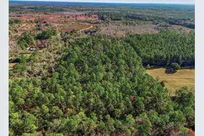 20616 NW 75th Street, Alachua, FL 32615 - Photo 11