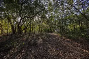 8931 NE 118 Terrace, Bronson, FL 32621 - Photo 45