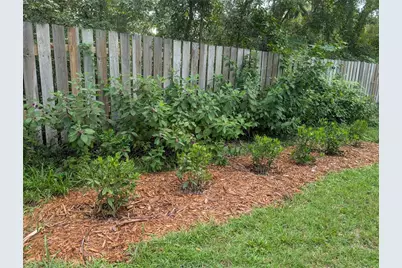 6250 NW 94th Lane, Chiefland, FL 32626 - Photo 75