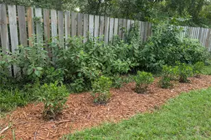 6250 NW 94th Ln, Chiefland, FL 32626 - Photo 75