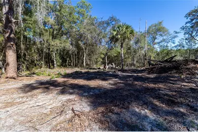 815 NE 145th Avenue Road, Silver Springs, FL 34488 - Photo 15