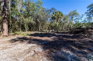 815 NE 145th Avenue Rd, Silver Springs, FL 34488 - Photo 15