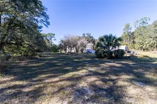 815 NE 145th Avenue Rd, Silver Springs, FL 34488 - Photo 19