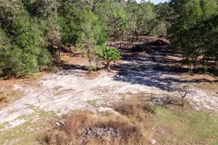 815 NE 145th Avenue Rd, Silver Springs, FL 34488 - Photo 21